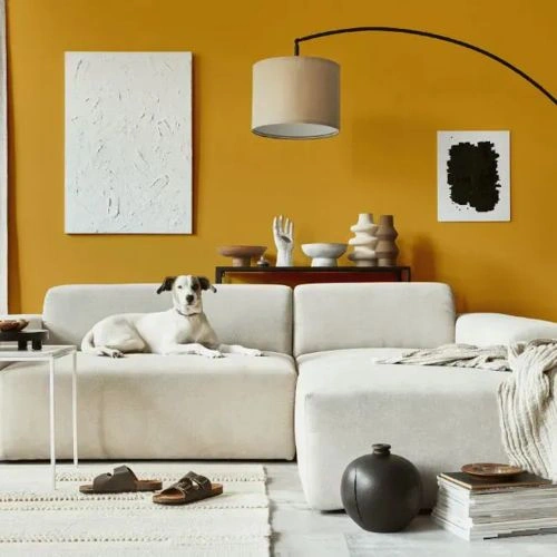 Photo of color RAL Effect RAL 280-5 