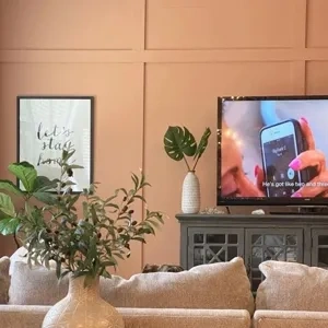 Photo of color Sherwin Williams SW 0069 Rose Tan