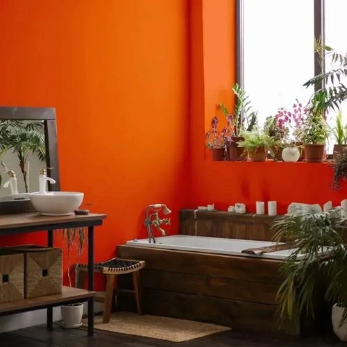 Photo of color NCS S 0580-Y60R 