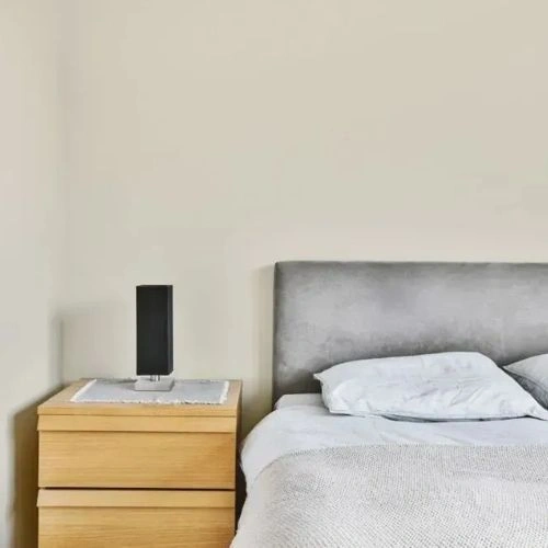 Photo of color NCS S 0804-Y10R 