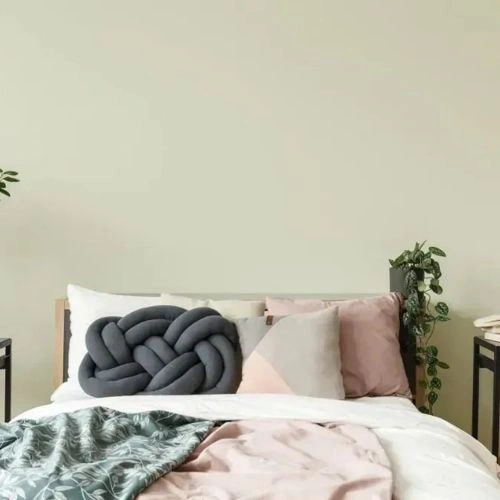 Photo of color NCS S 0907-G60Y 