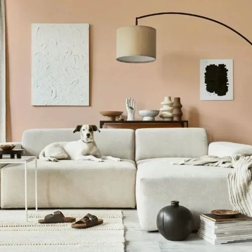 Photo of color NCS S 1015-Y60R 