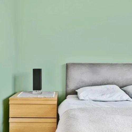 Photo of color NCS S 1020-G10Y 