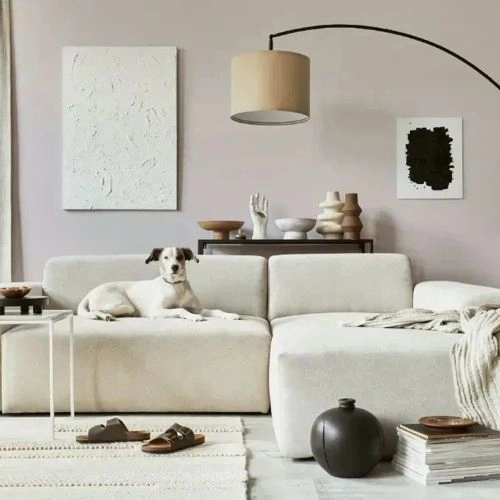 Photo of color NCS S 1505-R 