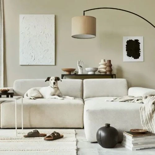 Photo of color NCS S 1505-Y10R 