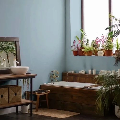 Photo of color NCS S 1515-B 