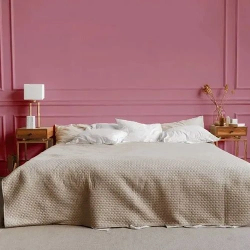 Photo of color NCS S 2030-R10B 