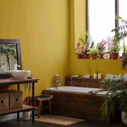 Photo of color NCS S 2040-Y 