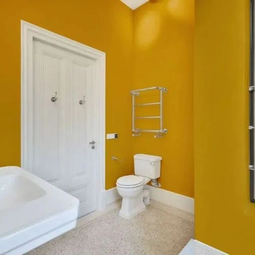 Photo of color NCS S 2060-Y10R 