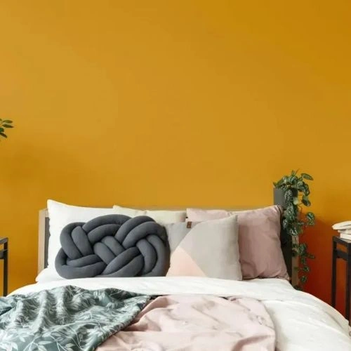 Photo of color NCS S 2060-Y20R 