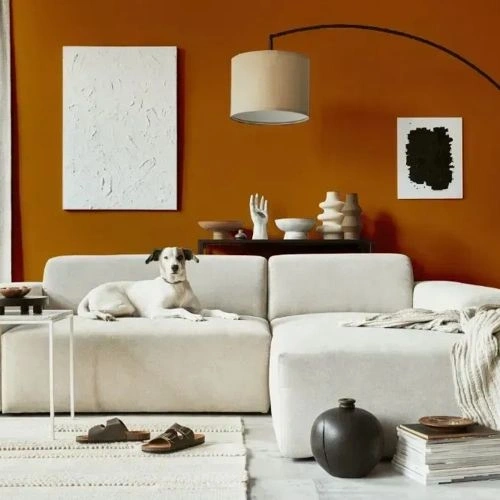 Photo of color NCS S 3560-Y30R 