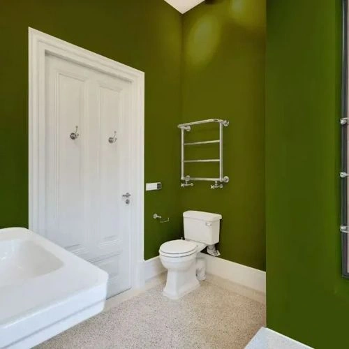 Photo of color NCS S 4550-G50Y 