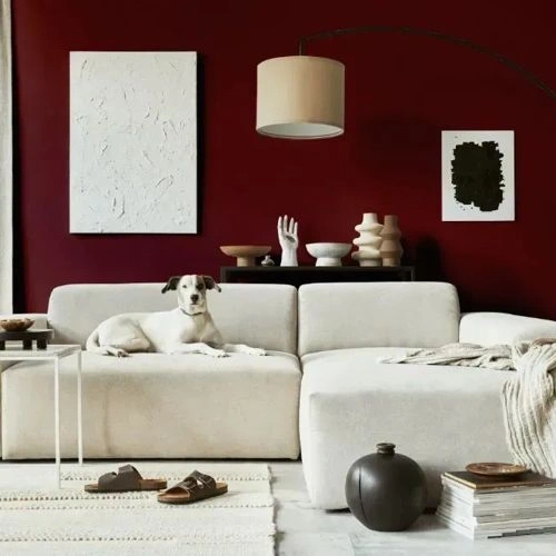 Photo of color NCS S 6030-R 