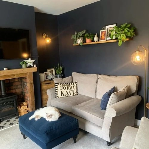 Photo of color Dulux null Sapphire Splendor Photo of color Dulux null Sapphire Splendor