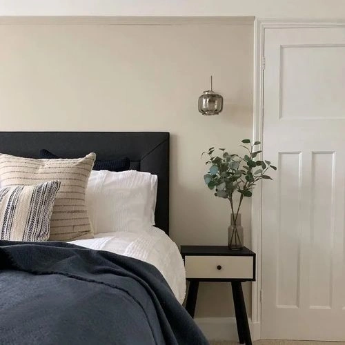 Photo of color Farrow and Ball 201 Shaded White