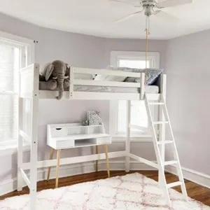 Photo of color Sherwin Williams SW 6547 Silver Peony