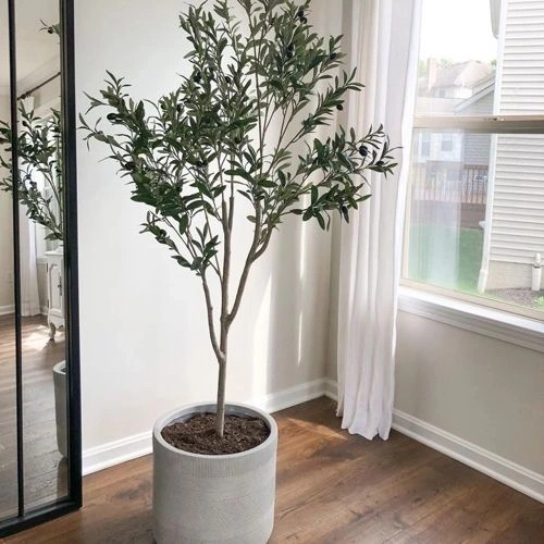 Photo of color Sherwin Williams SW 7010 White Duck