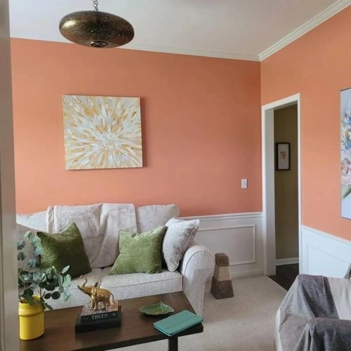 Sherwin Williams Subdued Sienna / SW 9009