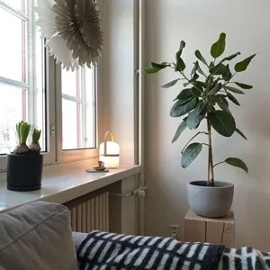 Photo of color Tikkurila G485 Canvas