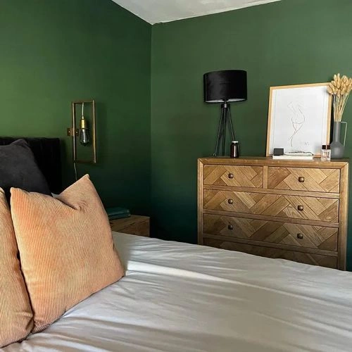Photo of color Farrow and Ball W55 Duck Green
