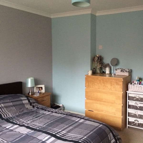 Photo of color Dulux 90GG 64/088 Mint Macaroon