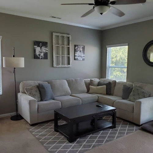 Photo of color Sherwin Williams SW 7640 Fawn Brindle
