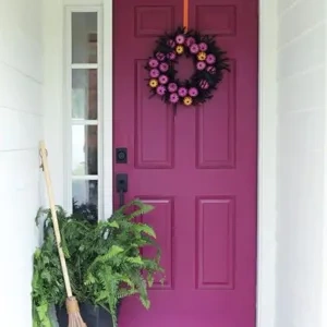 Photo of color Sherwin Williams SW 6566 Framboise