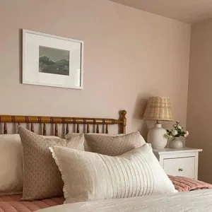 Photo of color Sherwin Williams SW 6057 Malted Milk