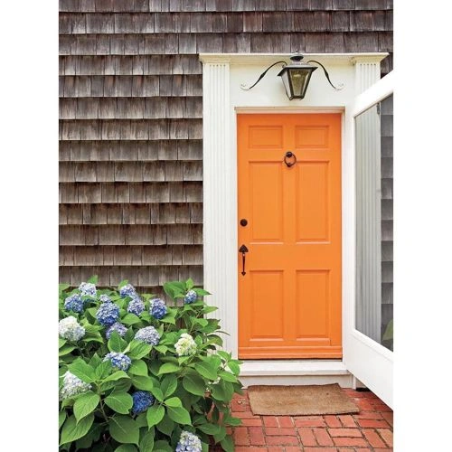 Photo of color Sherwin Williams SW 6890 Osage Orange