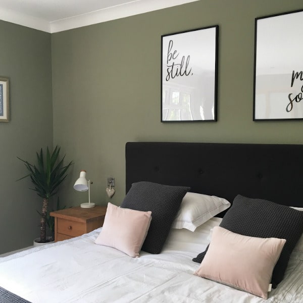 Photo of color Dulux 70YY 43/113 Overtly Olive