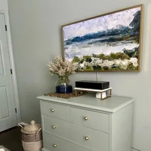 Photo of color Sherwin Williams SW 6206 Oyster Bay
