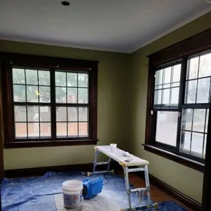 Photo of color Sherwin Williams SW 0042 Ruskin Room Green