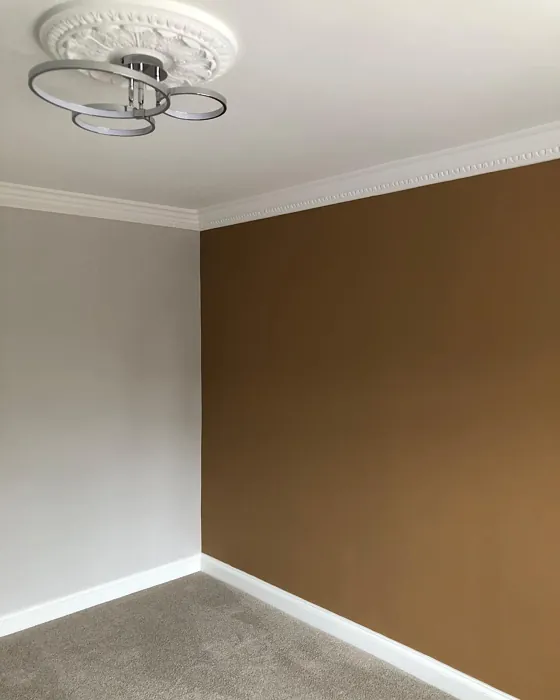 Dulux 00YY 26/220 accent wall 