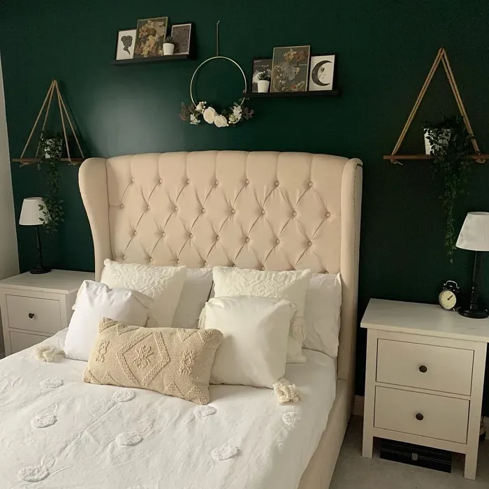 Pine Needle bedroom color review