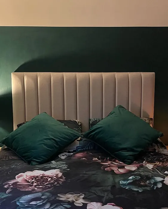 Dulux Pine Needle bedroom color