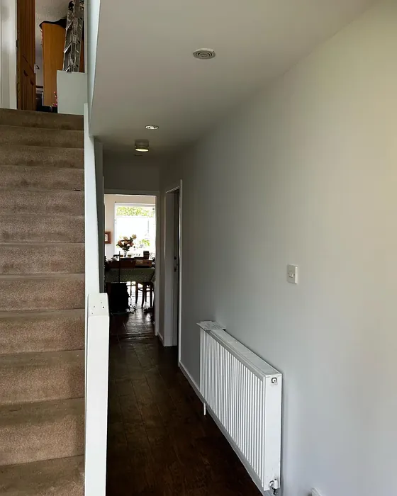 Dulux Wishbone White hallway color