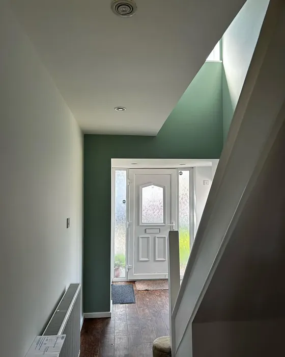 Dulux Wishbone White entryway color