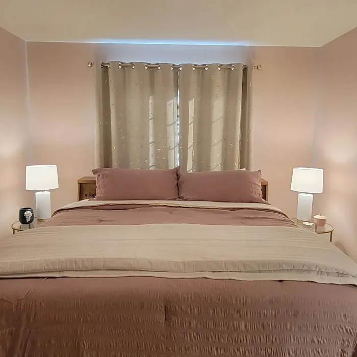 Sherwin Williams Abalone Shell bedroom 