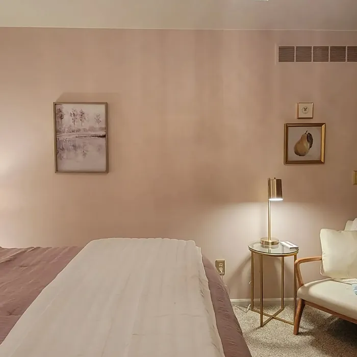 Sherwin Williams Abalone Shell bedroom color