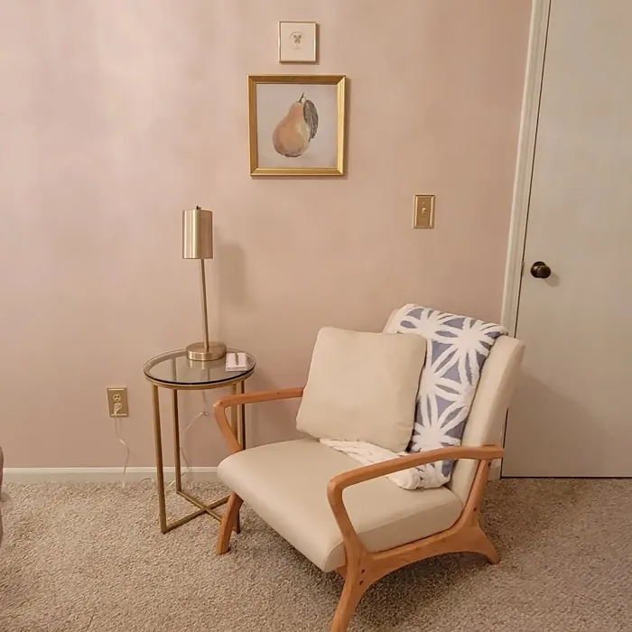 Sherwin Williams Abalone Shell bedroom color review