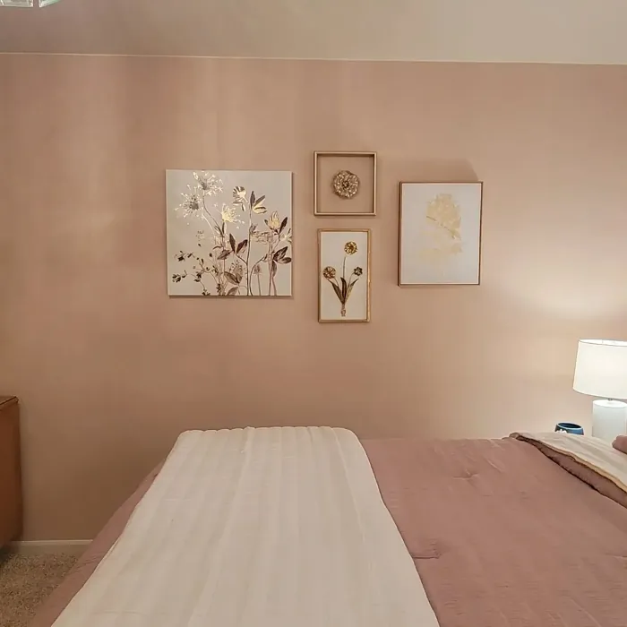 Sherwin Williams Abalone Shell bedroom inspiration