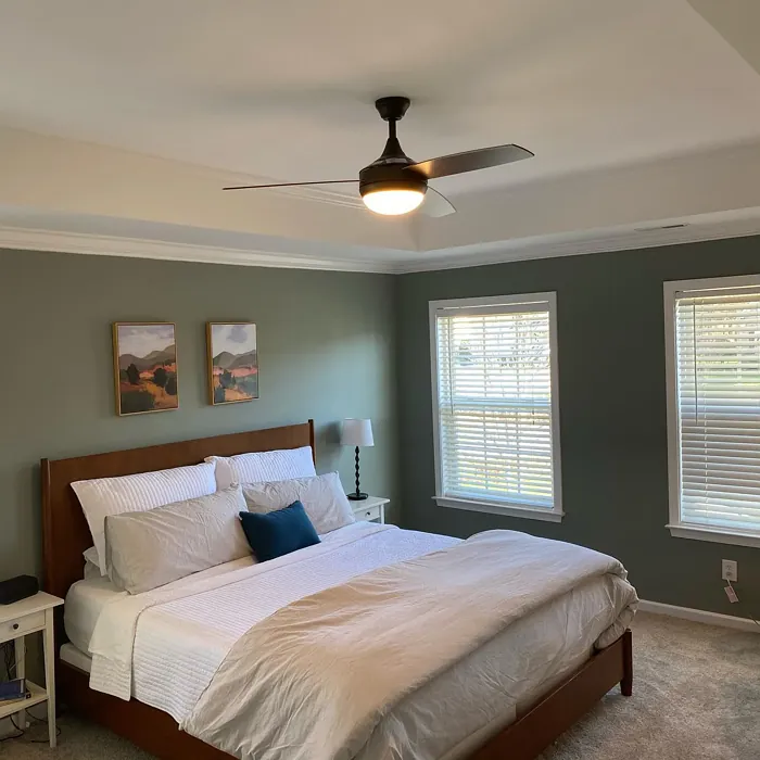 SW Acacia Haze bedroom color