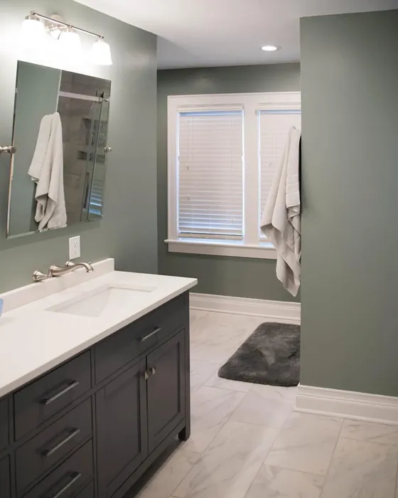 Sherwin Williams Acacia Haze bathroom color