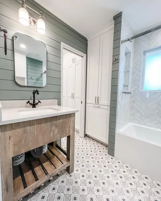 Sherwin Williams Acacia Haze bathroom inspiration