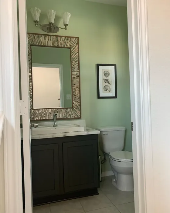 SW Acanthus bathroom color