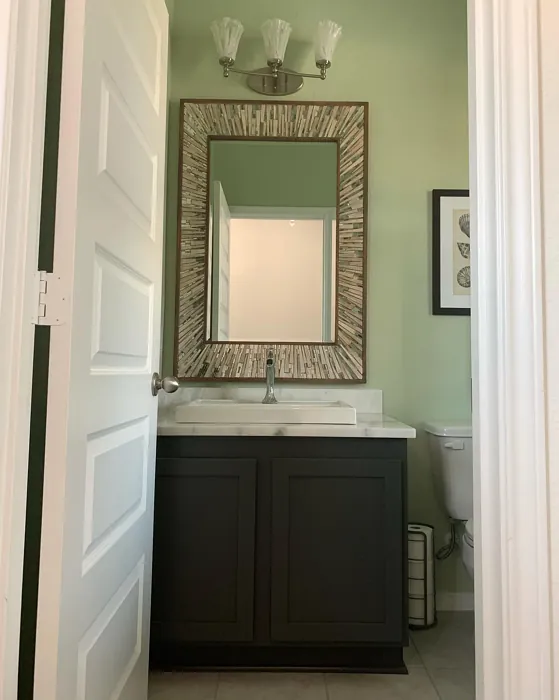 Sherwin Williams Acanthus bathroom 