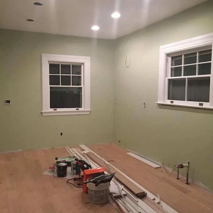 Sherwin Williams Acanthus wall paint color