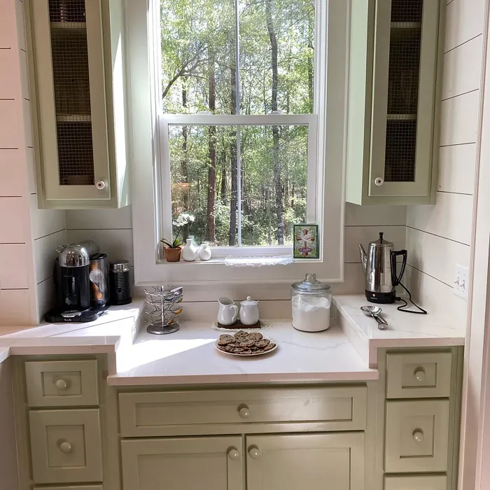 Sherwin Williams Acanthus kitchen cabinets color