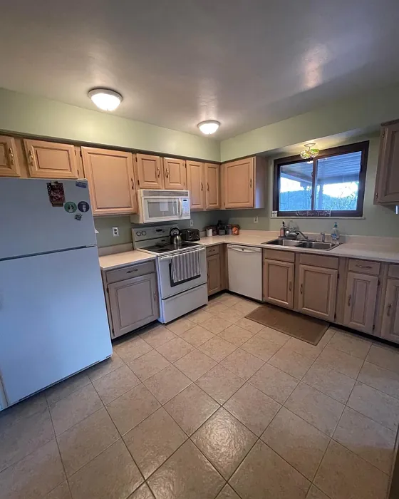 SW Acanthus kitchen color