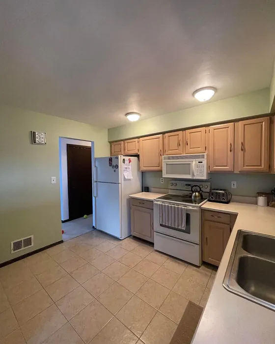 SW Acanthus kitchen color review